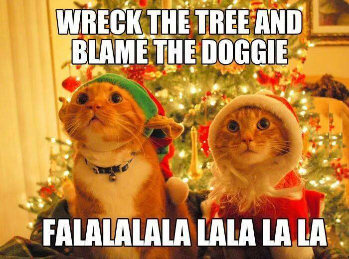 Cat-Wrecks-Christmas-tree