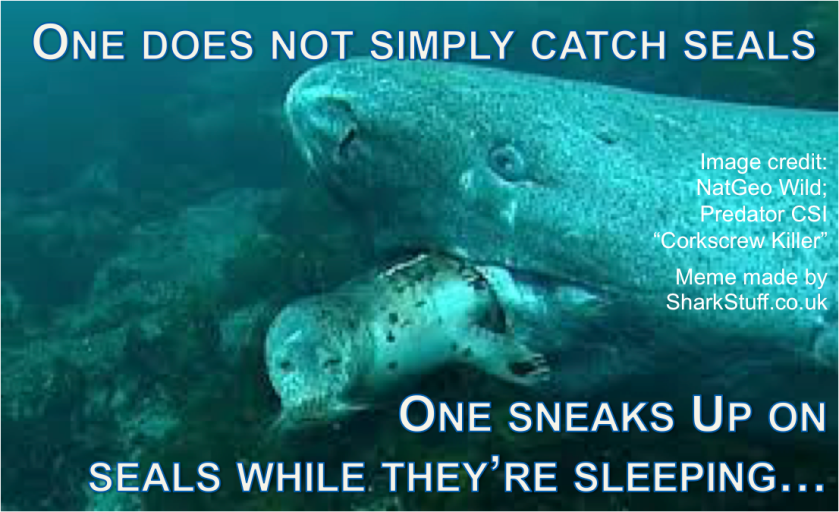 greenland-shark-eating-a-seal-meme