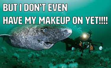 greenland-shark-meme